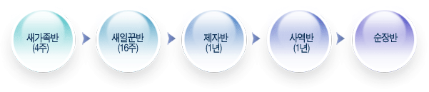/data/working_training/jeja_process.gif